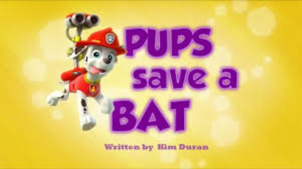 Paw Patrol Hd Full Episodes - Paw Patrol Cartoon Episodes In English_2
