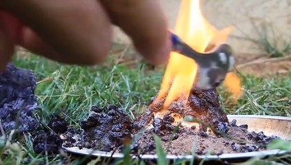 Amazing Fire Snake Science Experiment
