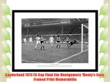 Framed Sunderland 1973 FA Cup Final Jim Montgomery 'Monty's Save' Print Memorabilia
