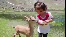Little Girl Feeding a Deer