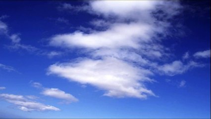 【癒し系作業用BGM】川のせせらぎと小鳥の鳴き声８時間版/Nature Soun