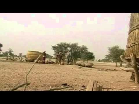 TJETER ATENTAT DHJETRA TE VRARE GJATE SULMIT TE ISLAMISTEVE NE NIGERI LAJM