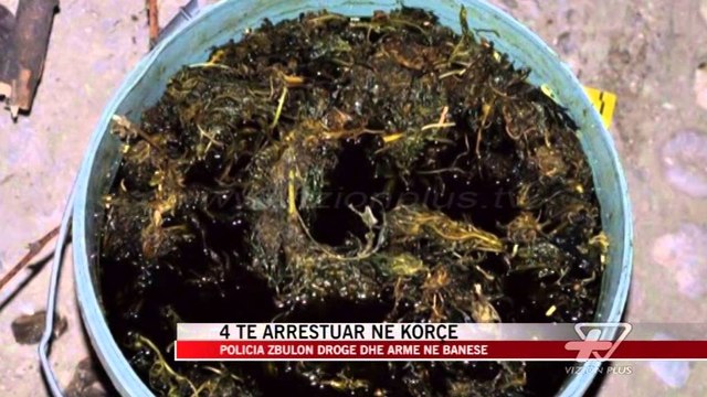 Policia zbulon drogë dhe armë në Korçë - News, Lajme - Vizion Plus