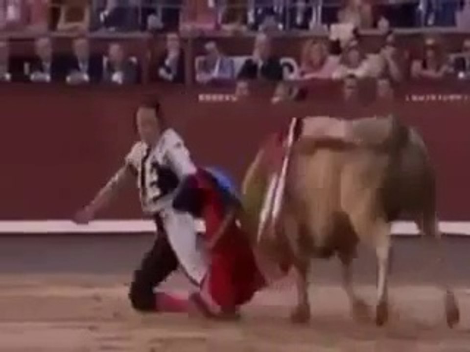 Bull Matador in Slow Motion