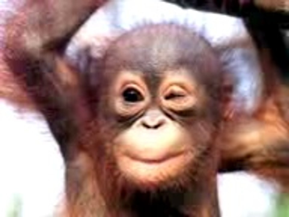 Bon anniversaire   de gros bisous    ❤