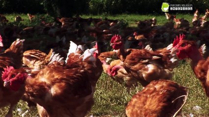 ITW de Martine COTTIN - responsable technique des fermiers de Loué