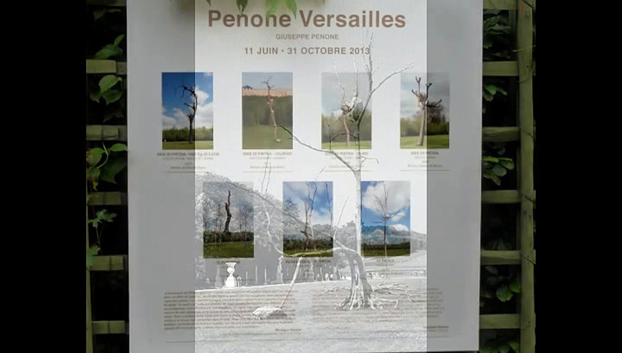 Guisepe Penone
