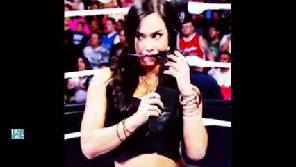 AJ Lee Hottest Booty Compilation _ 10 MIN