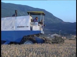 CENSUSI PER BUJQESINE SEKTORI BUJQESOR ZE PESHEN ME TE VOGEL NE EKONOMI LAJM