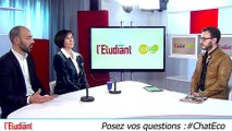 Chat - Les métiers de l'environnement