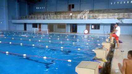 Menengok Persiapan Tujuh Atlet Renang Sumut