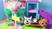 SHOPKINS Season 3 Chubby Puppies New Shopkins Cookie & Rare Puppy Plays In NEW 2015 Dog Park Playset