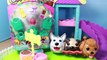 SHOPKINS Season 3 Chubby Puppies New Shopkins Cookie & Rare Puppy Plays In NEW 2015 Dog Park Playset