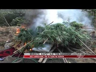 Mirditë, kapet një ton hashash - News, Lajme - Vizion Plus