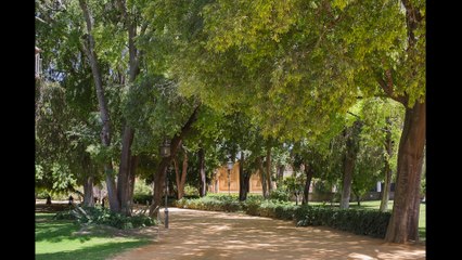 Fotografo de Bodas en Sevilla · Reportaje de Preboda en Jerez