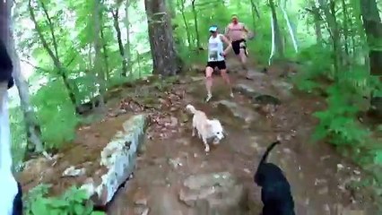 Running Trail Race with go pro (sony action cam) and dogs - 2015 Dirty Dog 15K