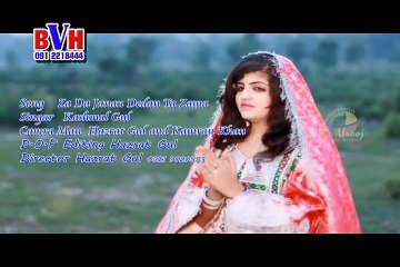 pashto film Haider Khan Hits 12