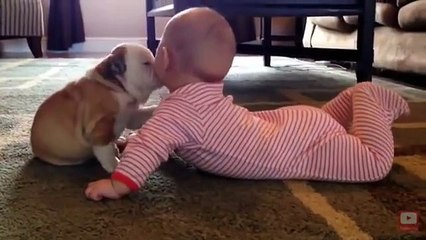 Very Cute Baby And Dog