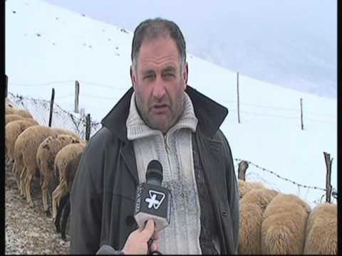 SITUATA E MOTIT DHJETRA FSHATRA VIJOJNE TE IZOLUAR NE KORÇE E KUKES LAJM