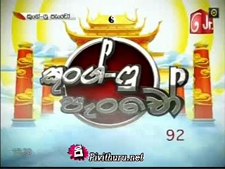 kunfu    - c 30.11.2015