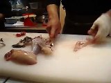 La découpe du Fugu au Japon