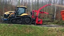 Staatsbosbeheer test nieuwe vorm van bosrandbeheer in Oost-Groningen - RTV Noord