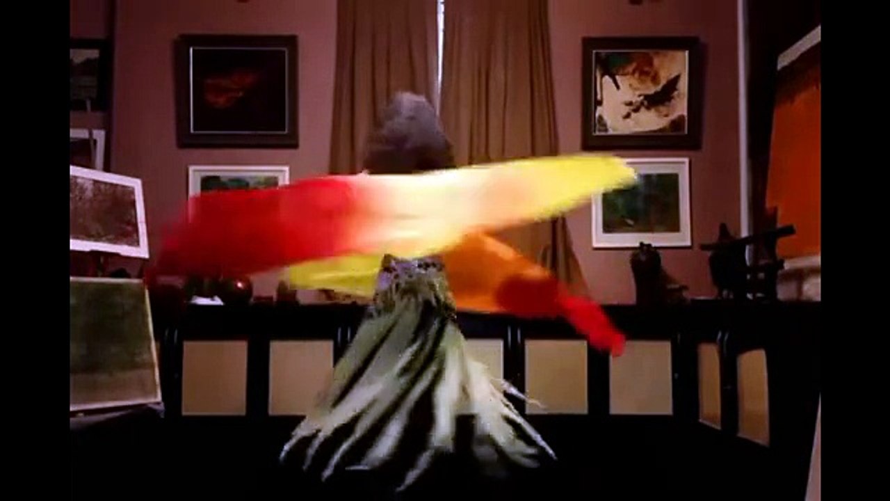 Hot Aerobic Belly Dance