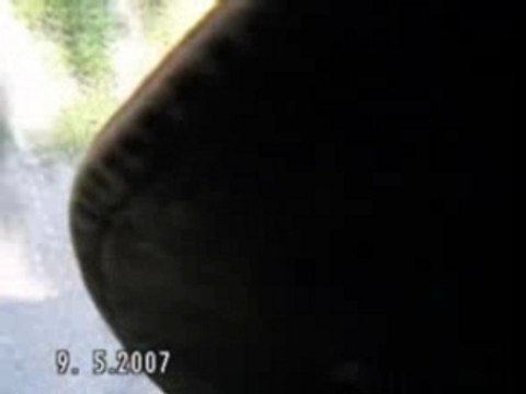 Ziua Europei la Vlad Tepes