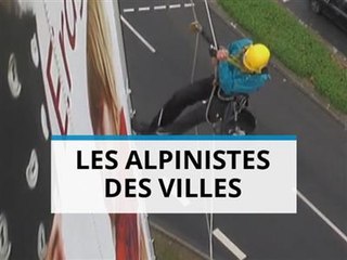 Les cordistes, ces alpinistes des hauteurs urbaines