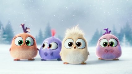 The Angry Birds Movie VIRAL VIDEO - Season's Greetings from the Hatchlings (2016) - Animation HD