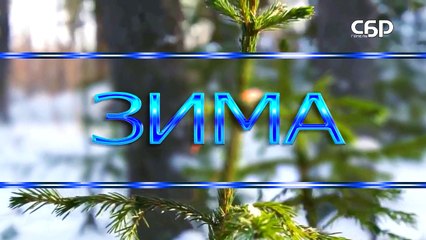 Прогноз погоды на 02 12 2015 года