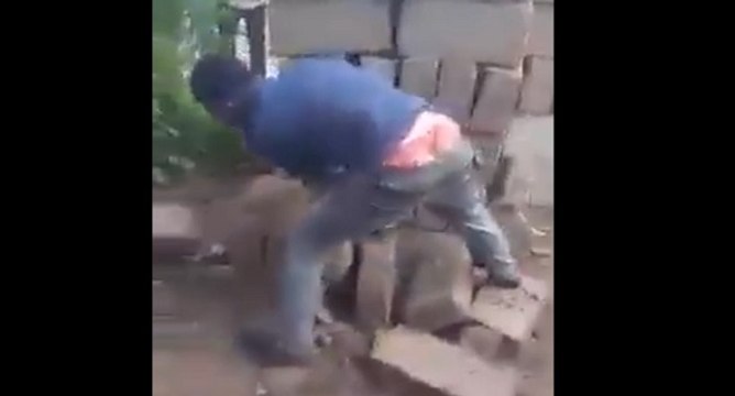 Ce qu'il fait après avoir capturé ce serpent est inexplicable