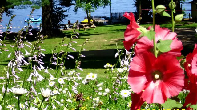 Resort Cottages and Cabins