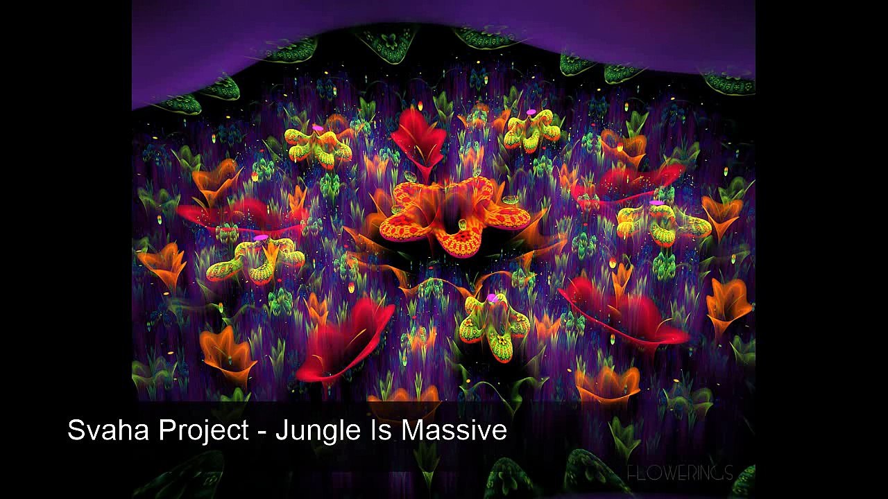 Svaha Project - Jungle Is Massive