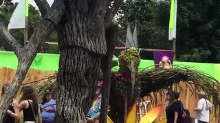 That's Amazing Tree Oregon Country Fair Video | Amazing Videos