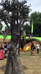 That's Amazing Tree Oregon Country Fair Video | Amazing Videos