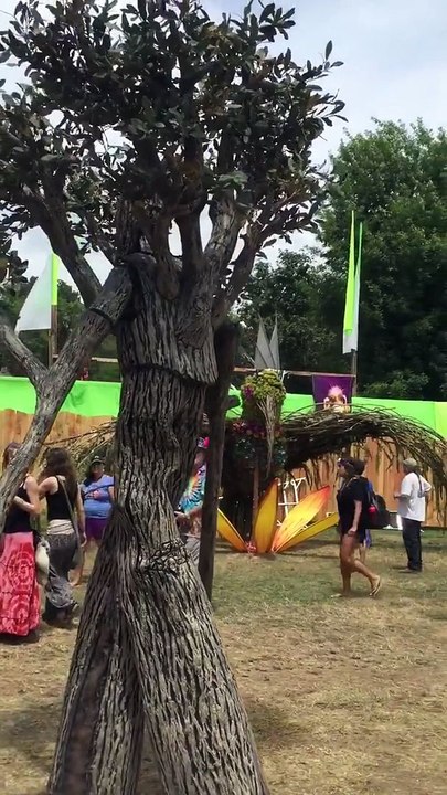 That's Amazing Tree Oregon Country Fair Video | Amazing Videos
