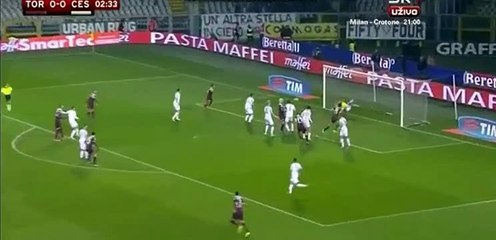 Alessandro Gazzi Goal 1-0 / Torino vs Cesena -1.12.2015
