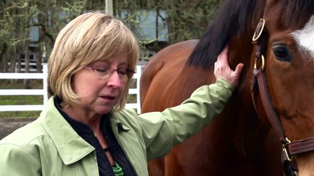 Equine Hospital Tour at the University of Tennessee Veterinary Medical Center