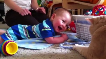 Cats and babies are best friends – Cute baby