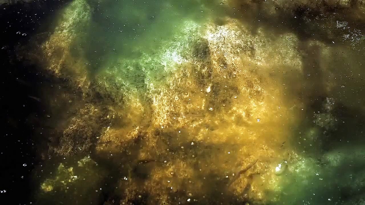 5 Vezes Chico - O Velho e sua Gente - Trailer
