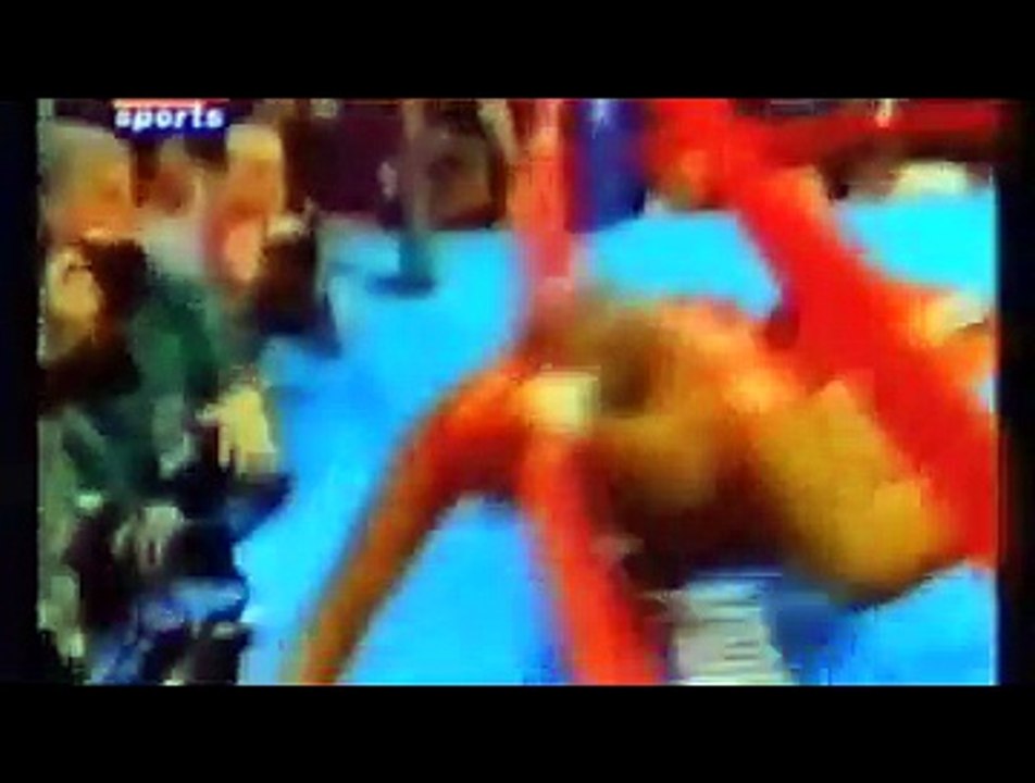 Shannon Briggs HL