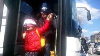 Autocar copı bus school kindergarden