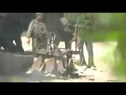 LUFTA NE AFGANISTAN HUMBIN JETEN EDHE 4 USHTARE TE TJERE NGA FORCAT E SHBA LAJM