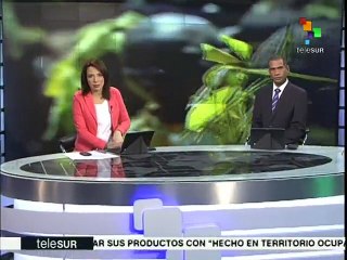 Comunidades del Congo se organizan para combatir unidas la pobreza
