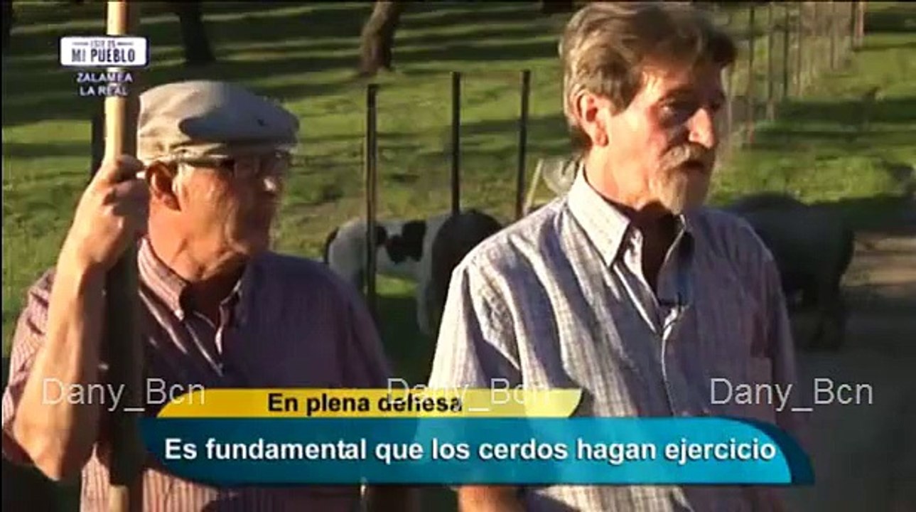 La Húngara Este Es Mi Pueblo (Zalamea La Real-Huelva)