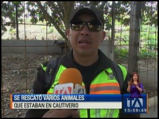 Se rescató a varios animales que estaban en cautiverio