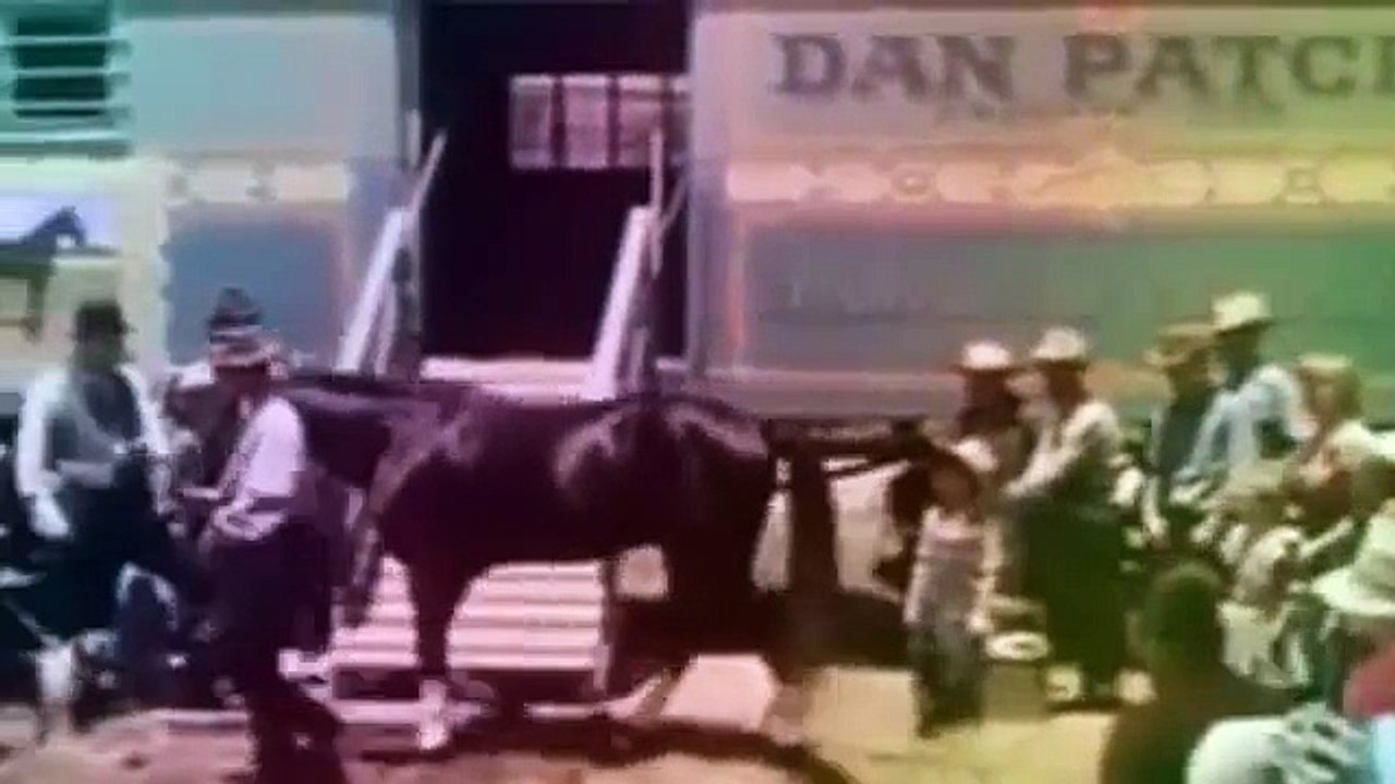 Walt ⒹⒾⓈⓃⒺⓎ ⒹⒺⓈⓈⒾⓃ ⒶⓃⒾⓂé ⒸⓄⓂⓅⓁⒺⓉ en francais, ⒻⒾⓁⓂ d ⒶⓃⒾⓂⒶⓉⒾⓄⓃ drôle nouveau 2015 ⓋⒾⒹéⓄ