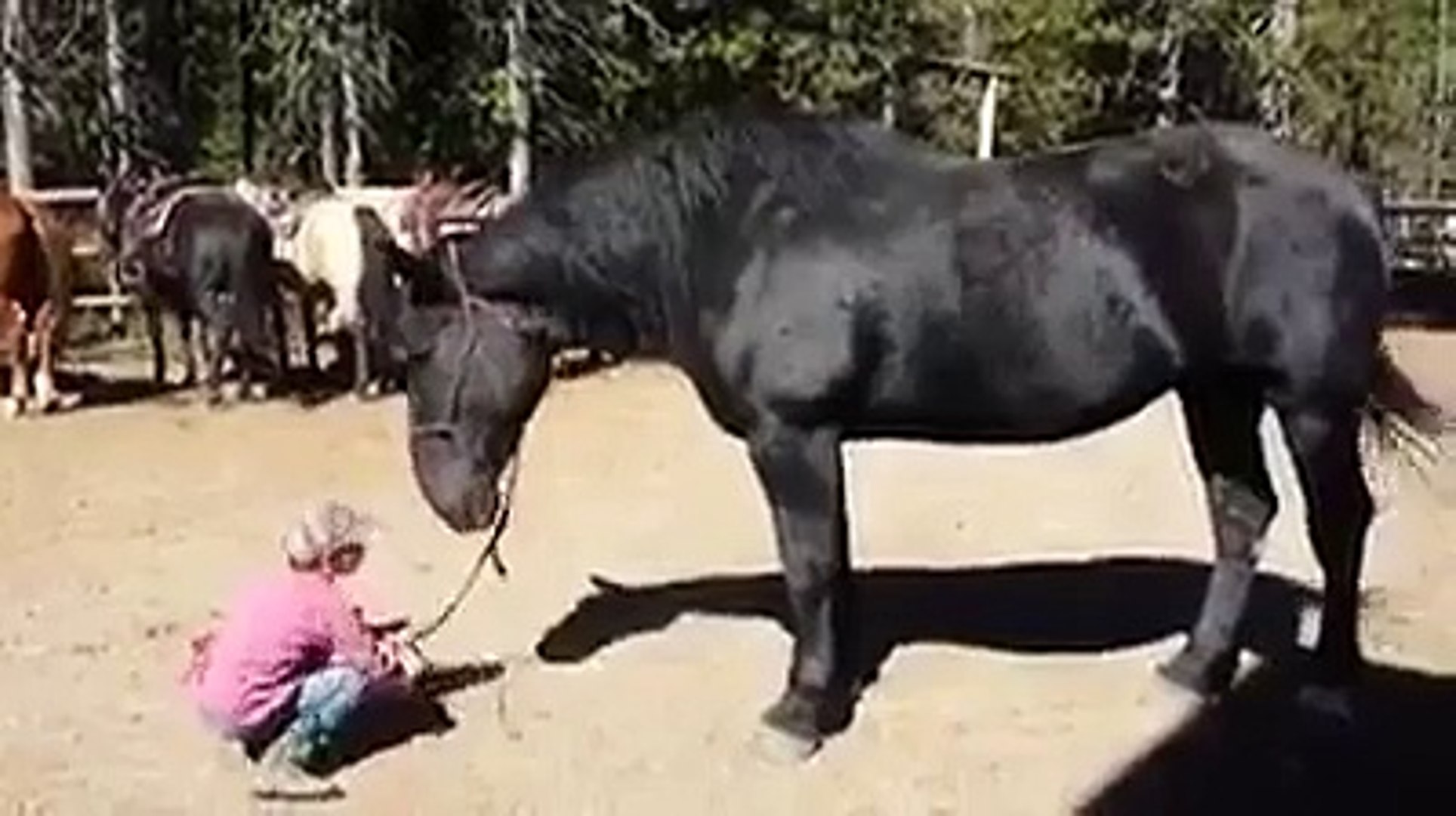 ⁣amzing buddy