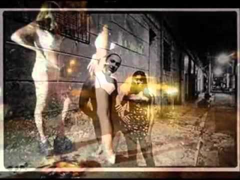 DEPARTAMENTI I SHTETIT SHQIPERIA ESHTE BURIM I TRAFIKUT TE QENIEVE NJEREZORE LAJM